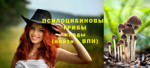 дурь Алзамай