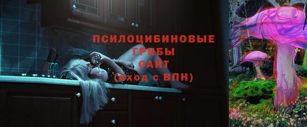 дурь Алзамай