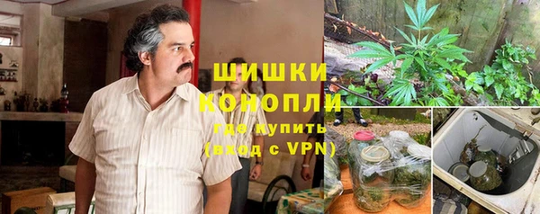 дурь Алзамай