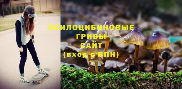 винт Алексеевка
