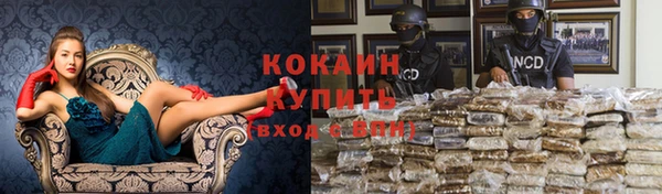 дурь Алзамай