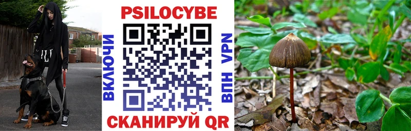 Псилоцибиновые грибы MAGIC MUSHROOMS  Славск 